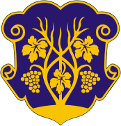 brasão de Uzhhorod