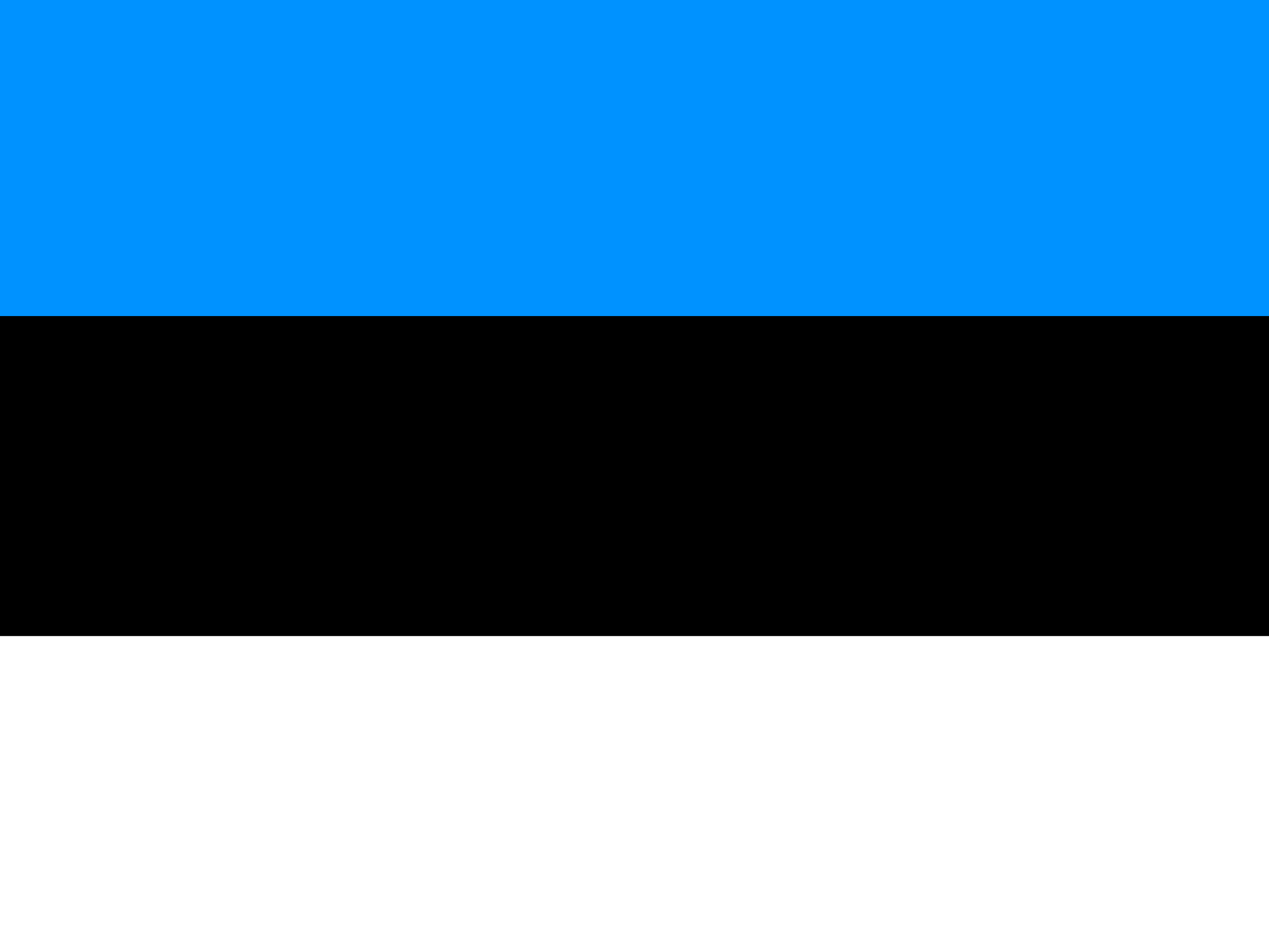 Bandeira de Estónia