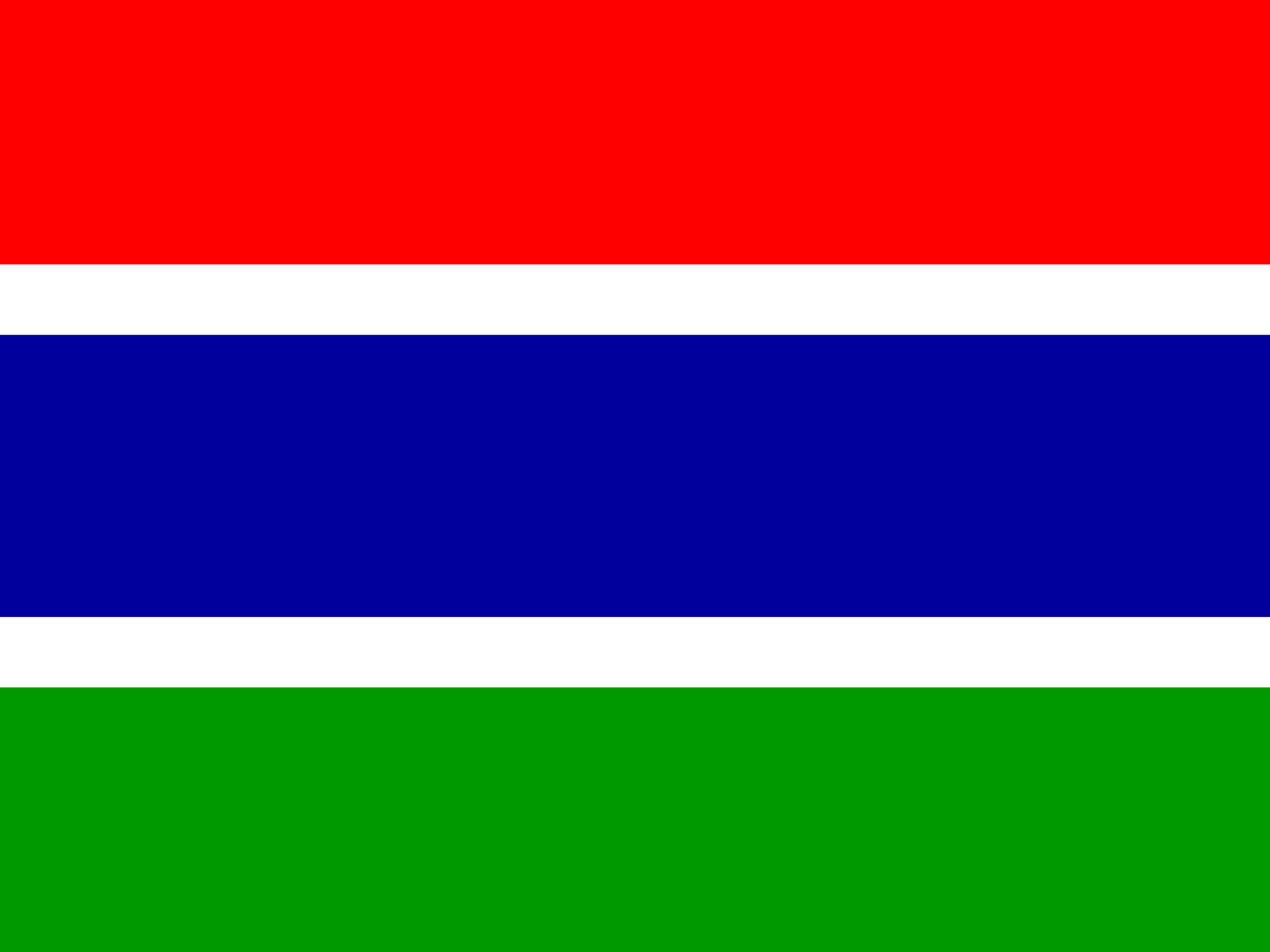 Bandeira de Gâmbia