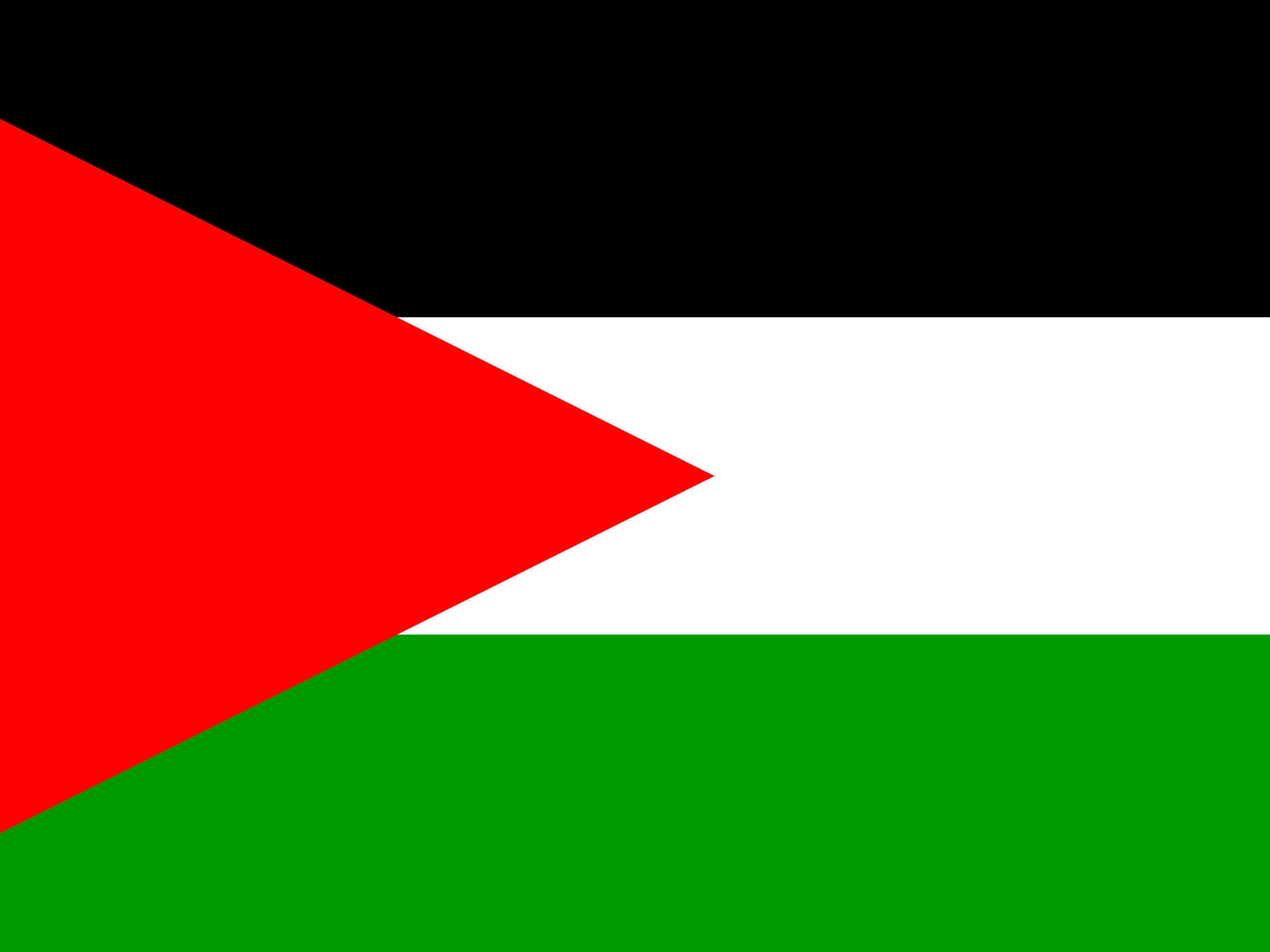 Bandeira de Palestina