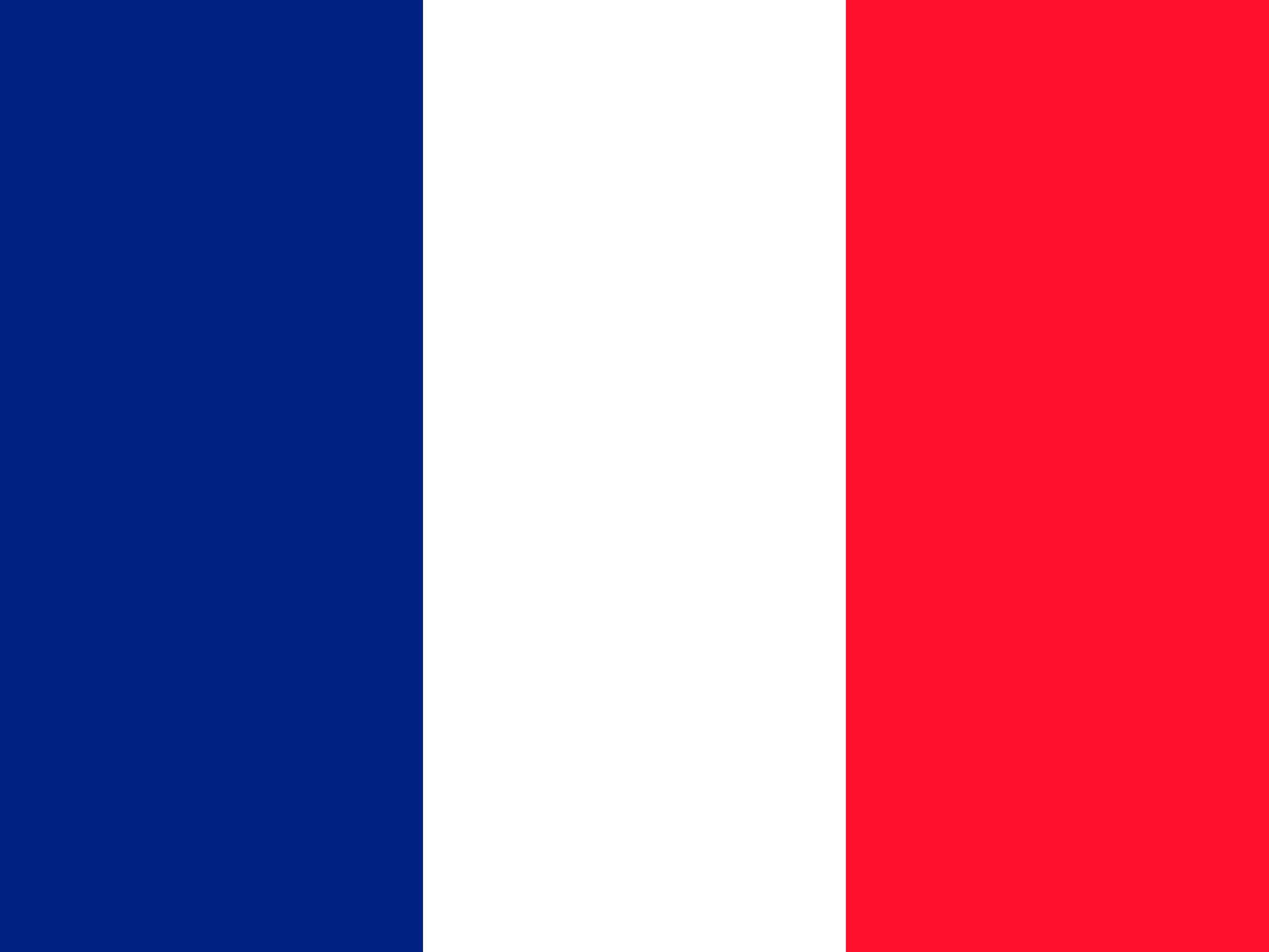Bandeira de Reunião
