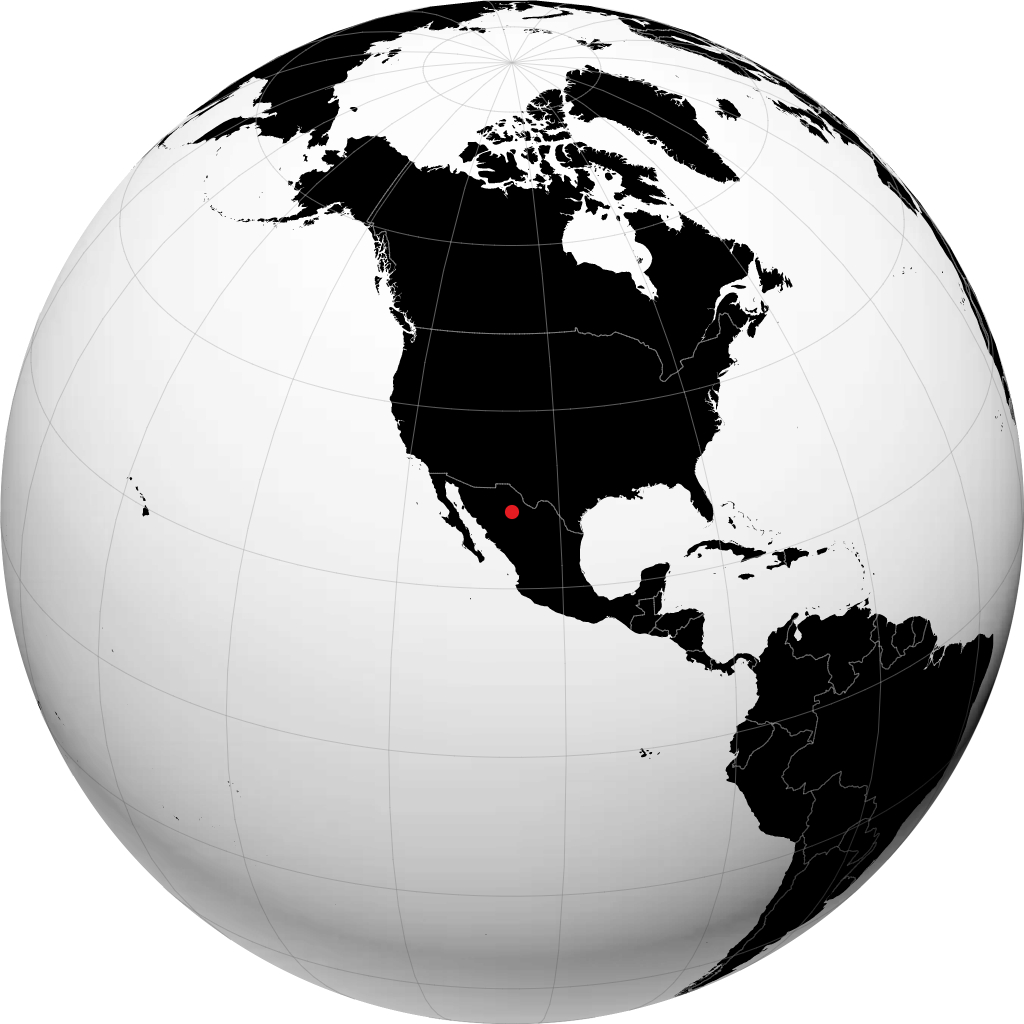 Chihuahua no globo