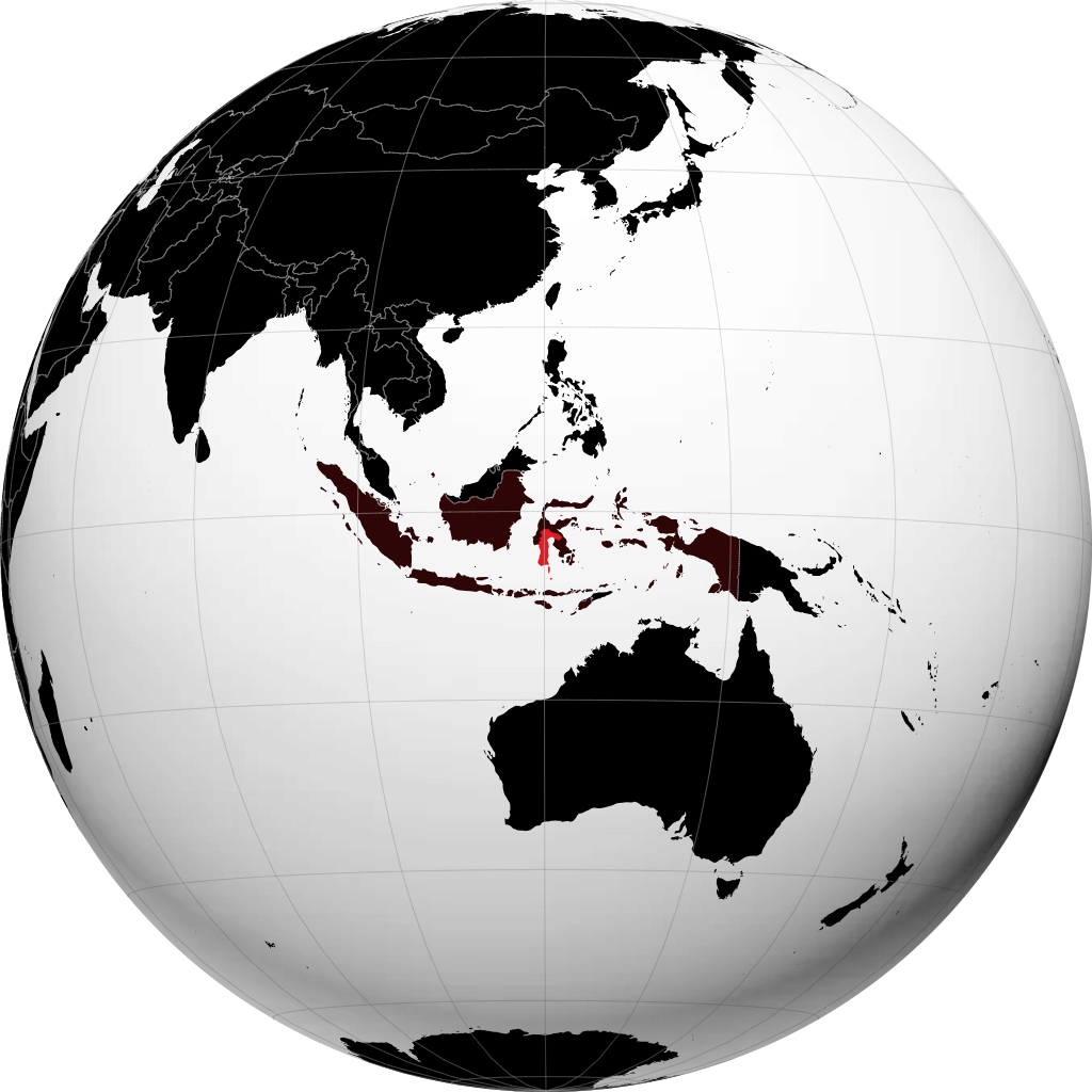 Sulawesi do Sul no globo