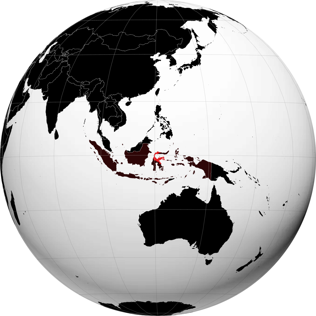 Sulawesi Central no globo