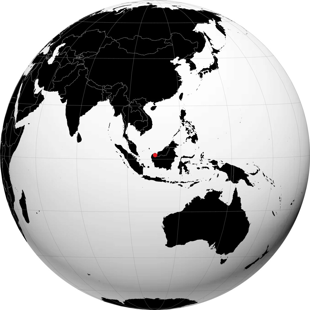 Kuching no globo