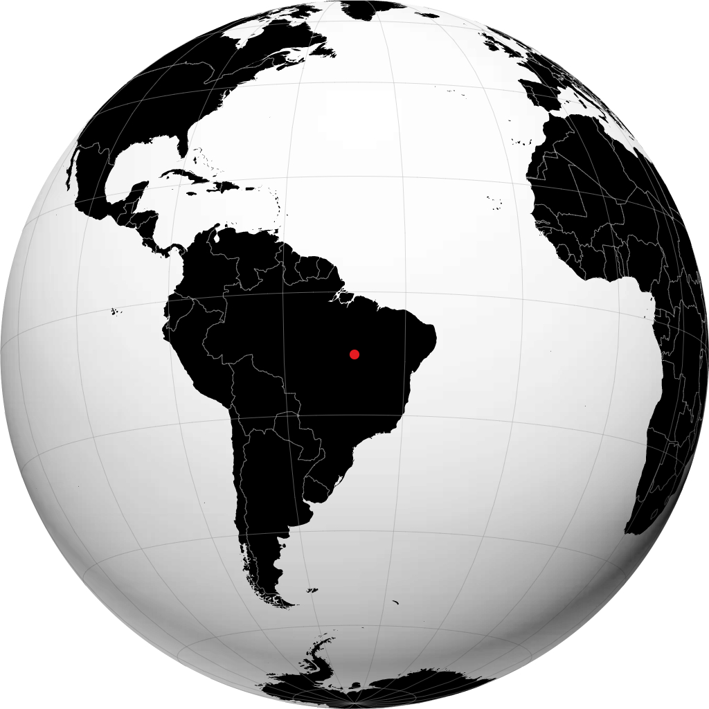 Palmas no globo