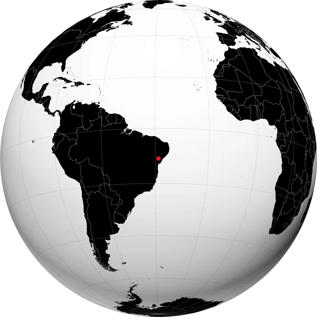 Tucano no globo