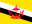 Bandeira de Brunei